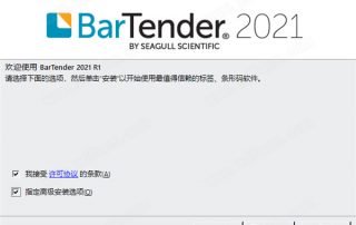 BarTender 2021